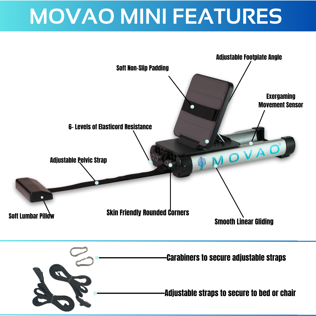 Shows all features of the portable leg press